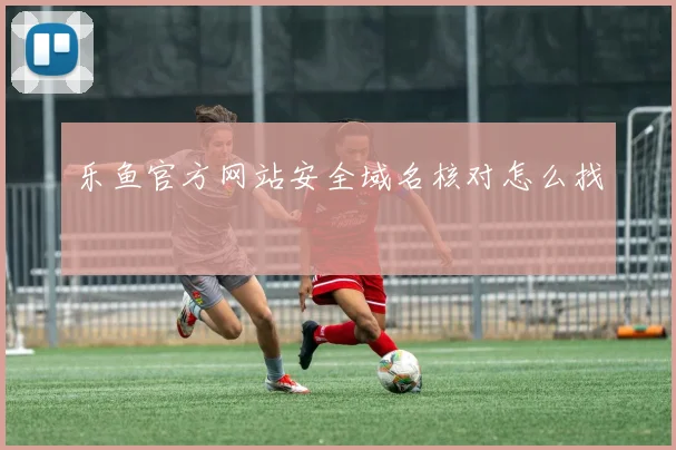 乐鱼官方网站安全域名核对怎么找