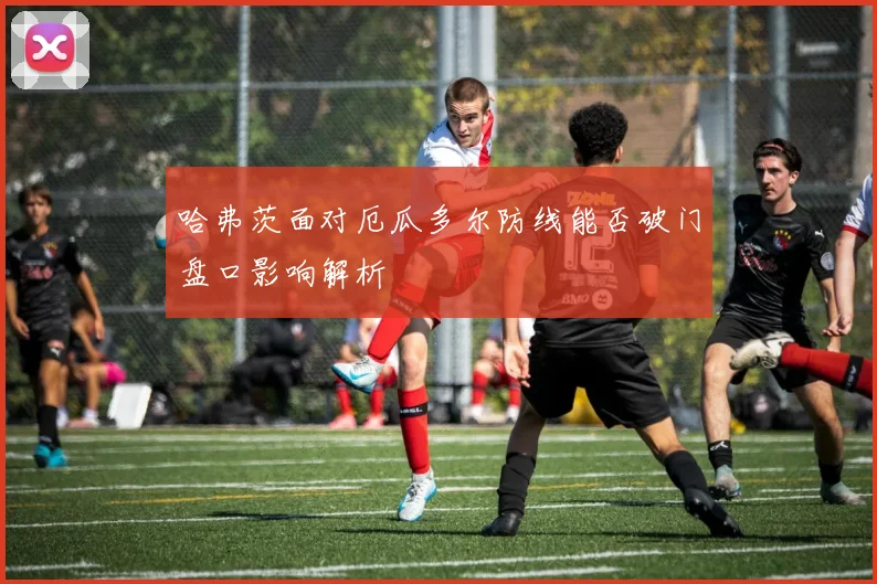 哈弗茨面对厄瓜多尔防线能否破门盘口影响解析