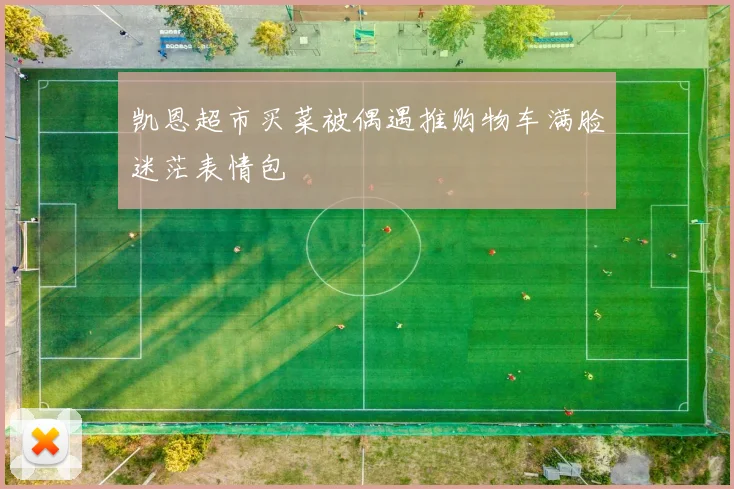 凯恩超市买菜被偶遇推购物车满脸迷茫表情包